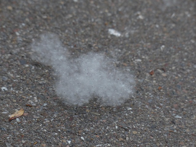 医療脱毛 花粉症・アレルギー体質の方への注意点